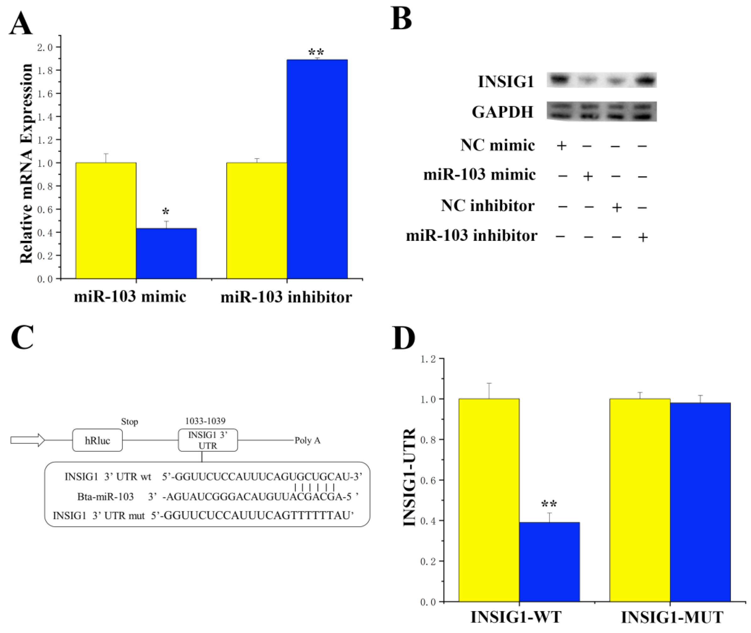 Agriculture 14 00538 g001