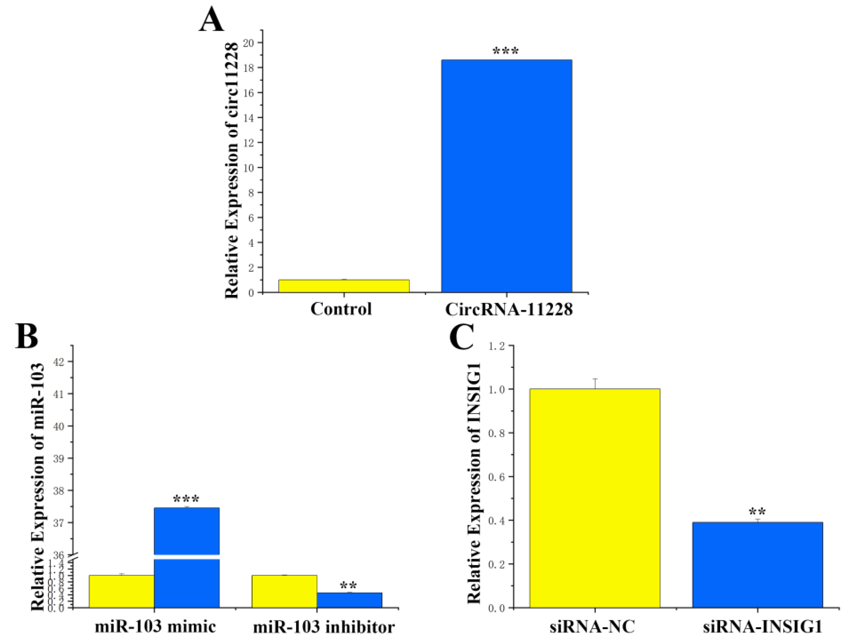 Agriculture 14 00538 g003