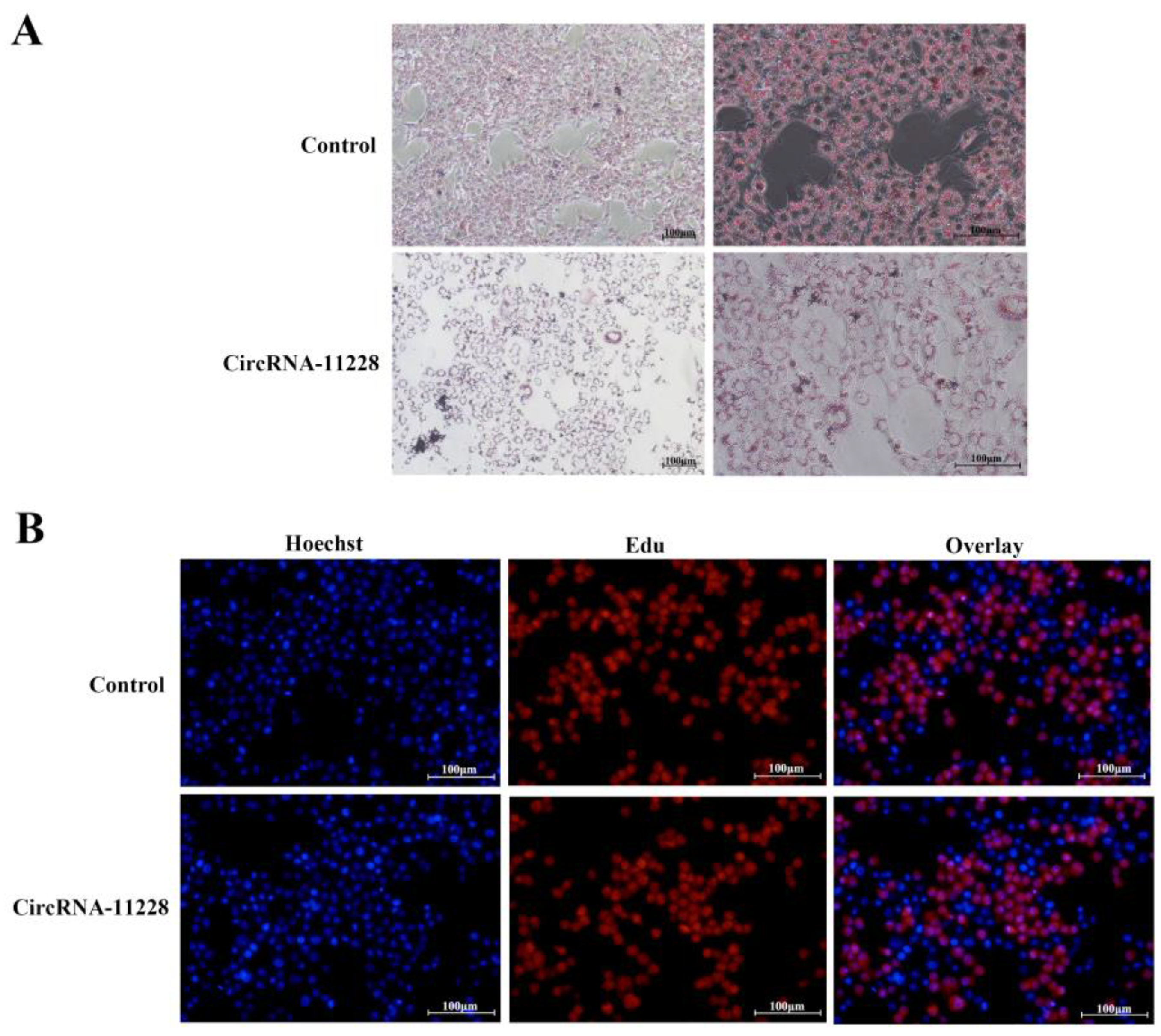 Agriculture 14 00538 g005