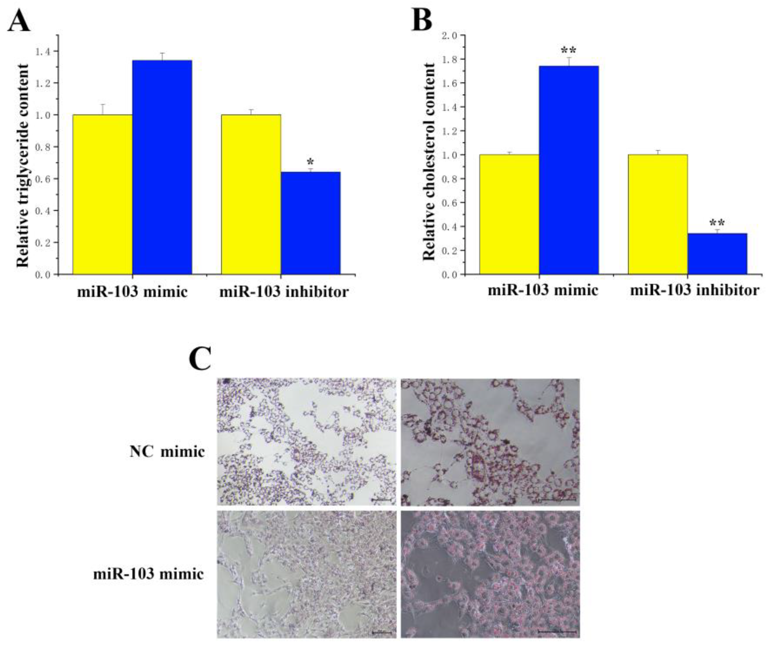 Agriculture 14 00538 g006