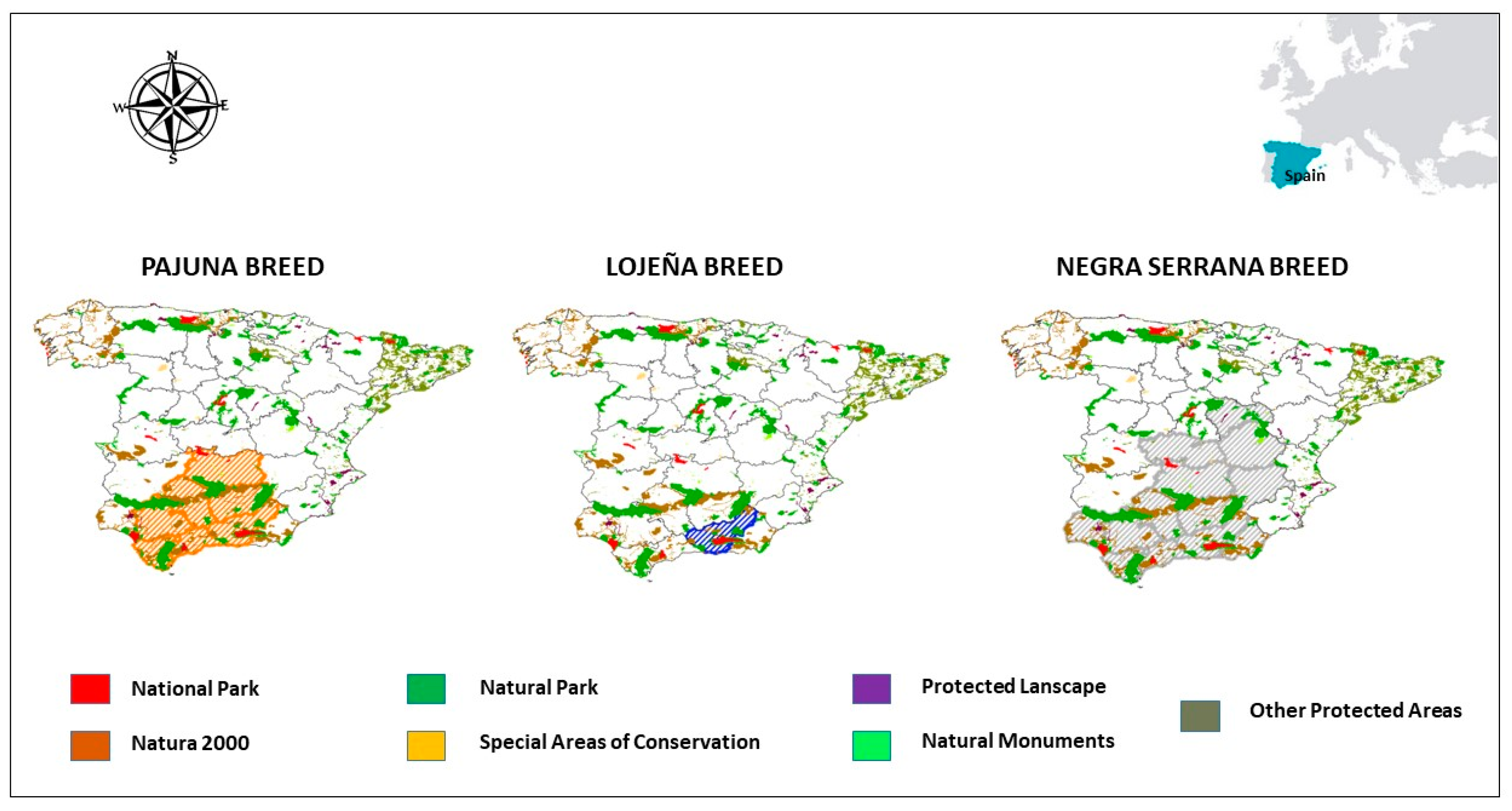 Agriculture 14 00558 g001 Agriculture 14 00558 g001