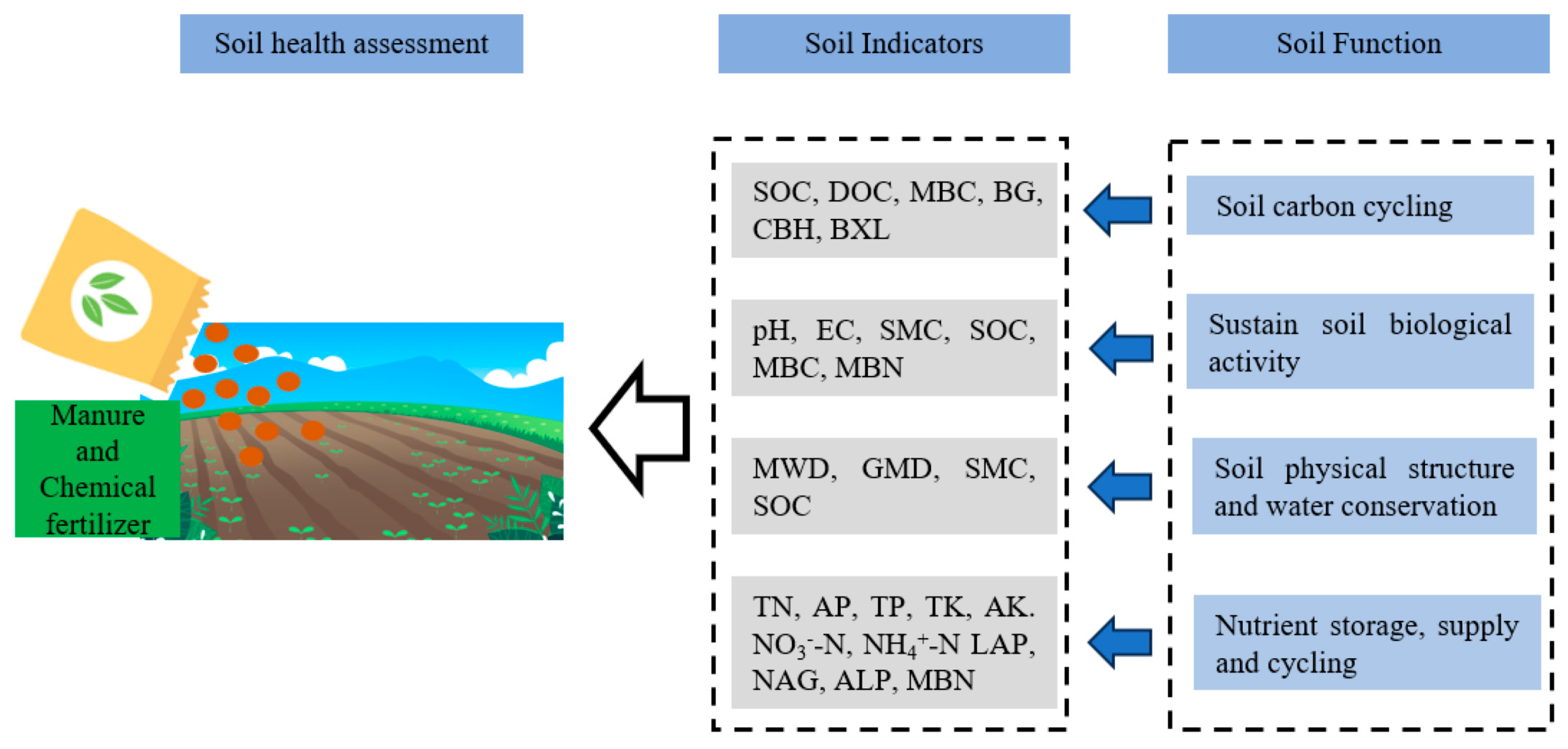 Agriculture 14 00572 g001