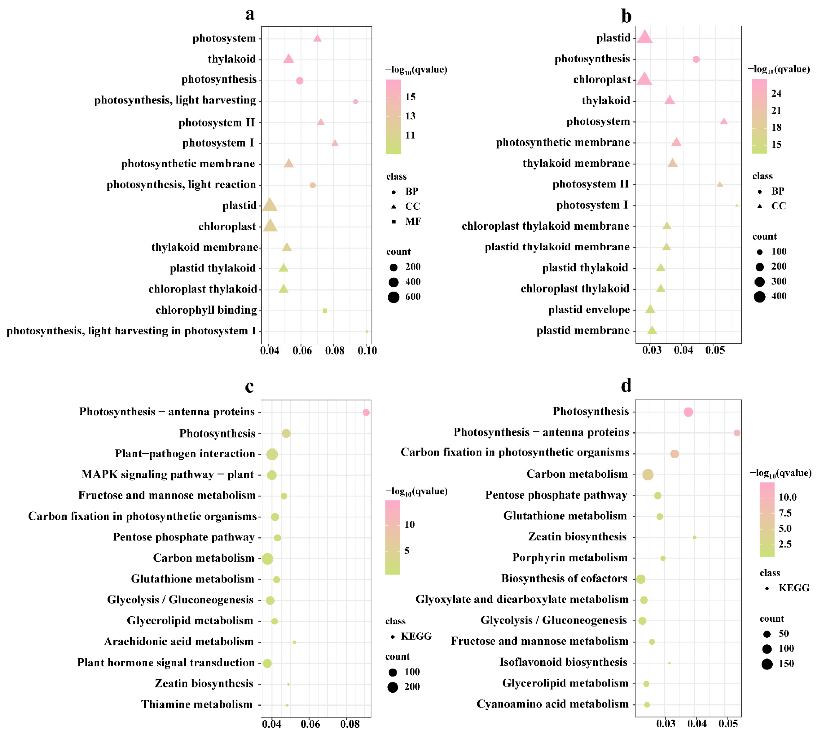 Agriculture 14 00574 g004