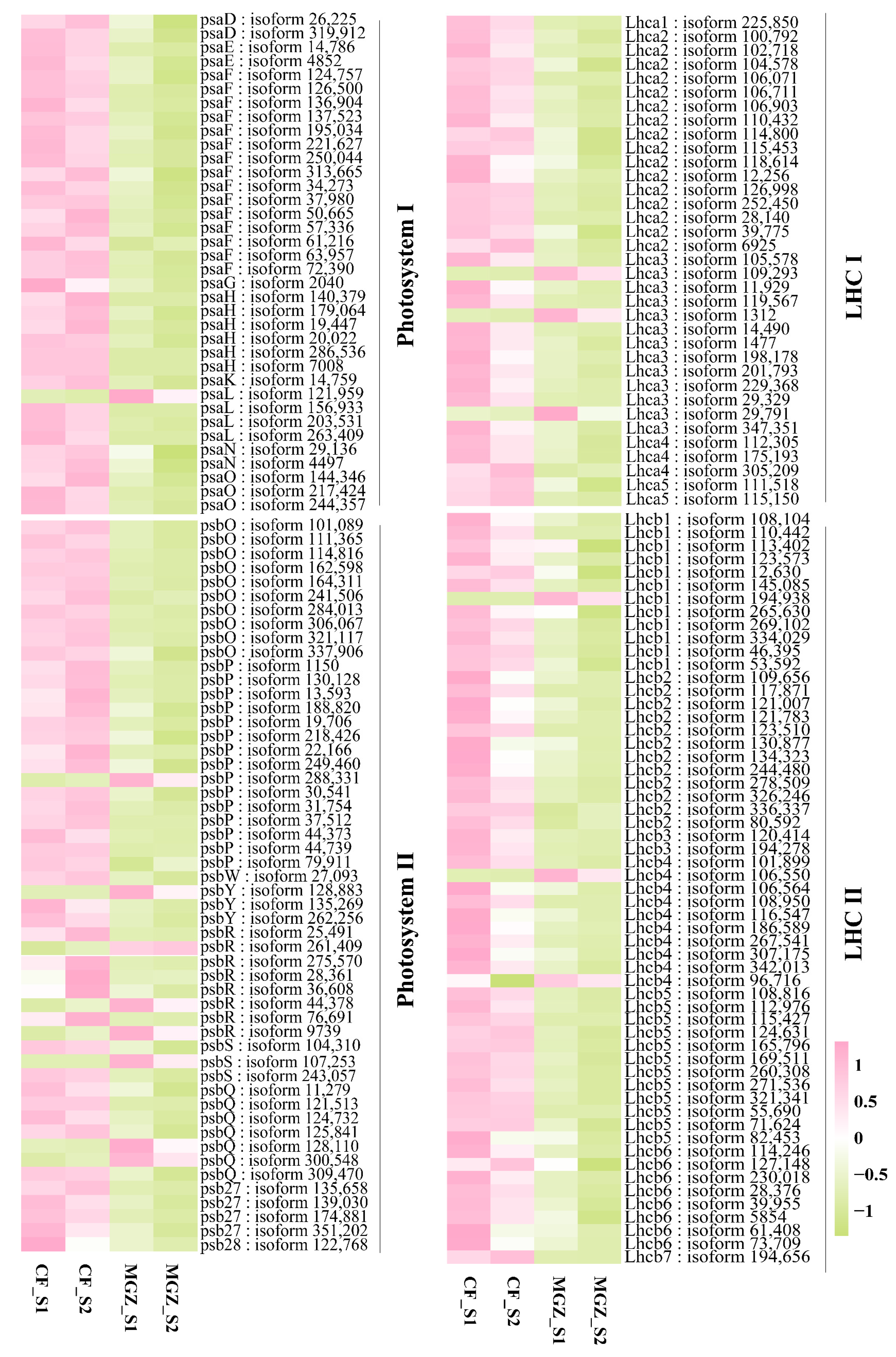 Agriculture 14 00574 g005