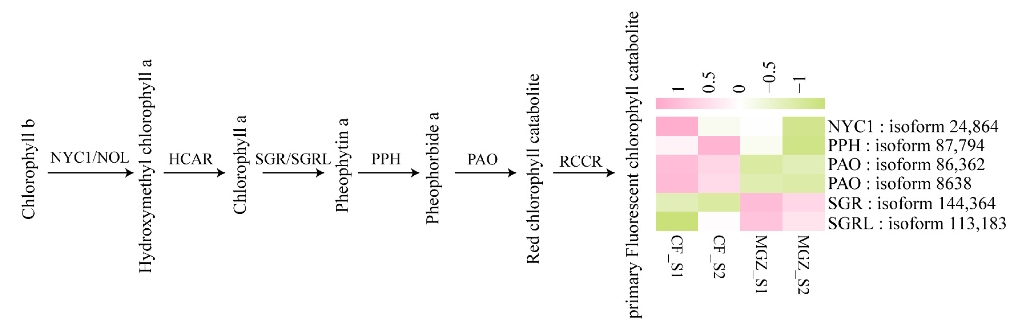 Agriculture 14 00574 g006