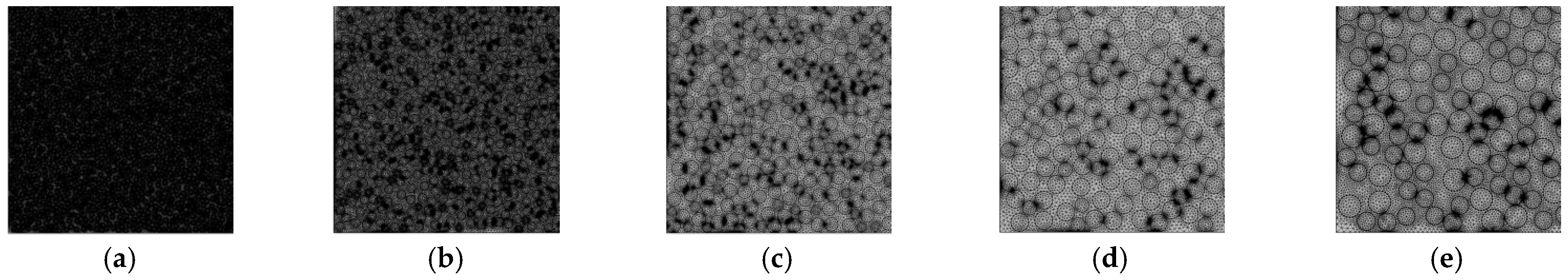 Agriculture 14 00588 g004