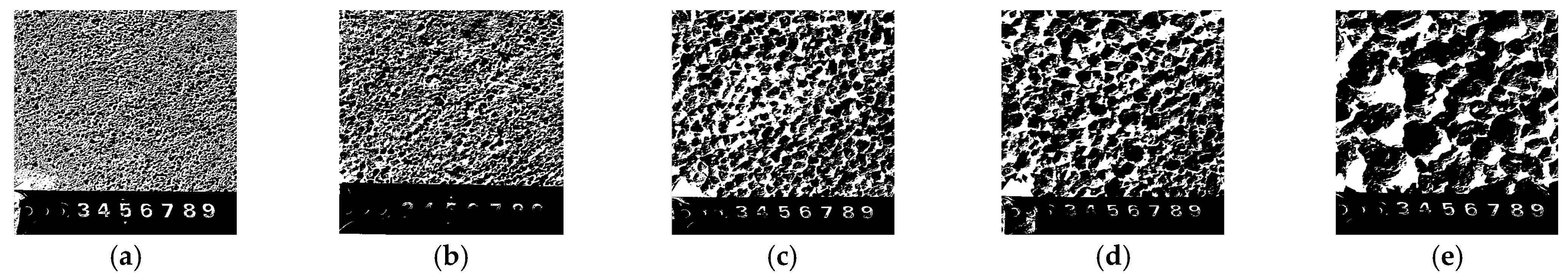 Agriculture 14 00588 g008