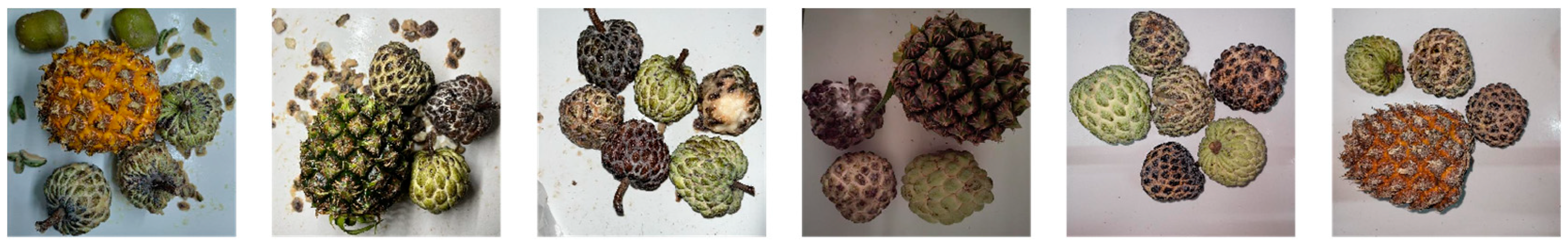 Agriculture 14 00591 g001