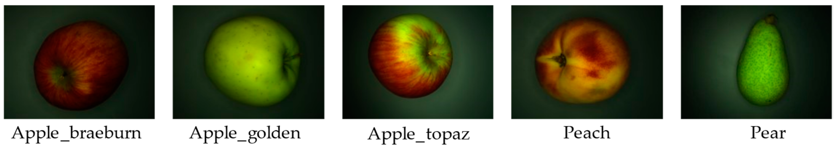 Agriculture 14 00591 g014