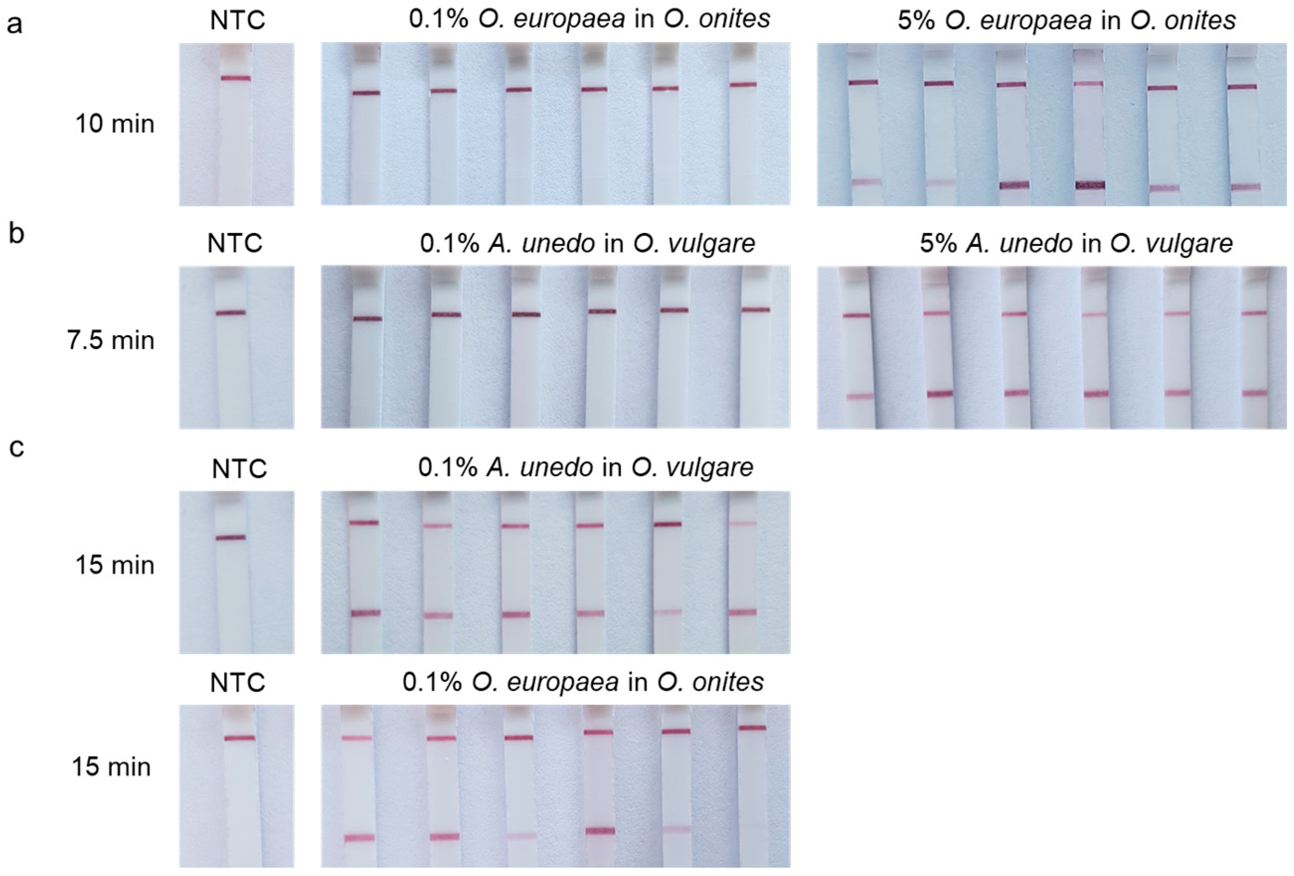 Agriculture 14 00597 g003