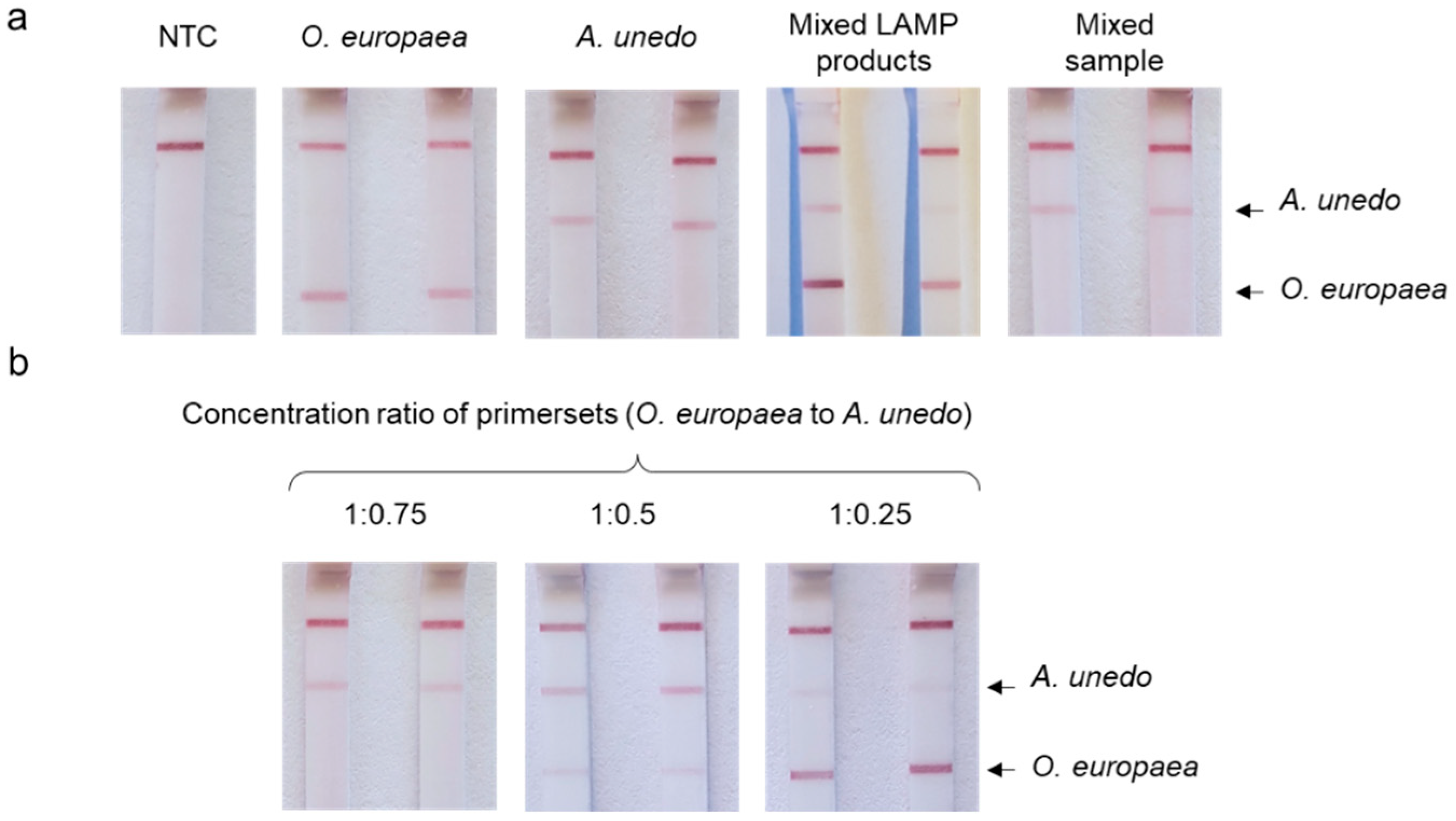 Agriculture 14 00597 g004