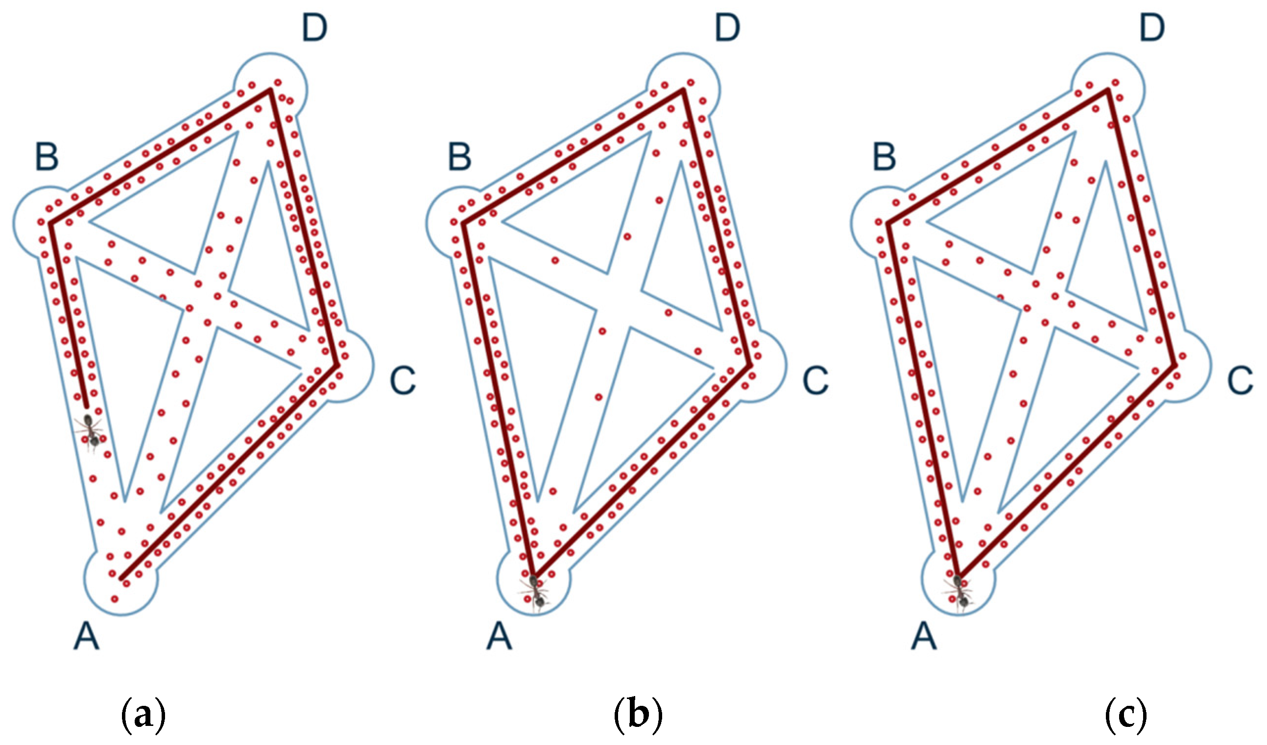 Agriculture 14 00622 g010