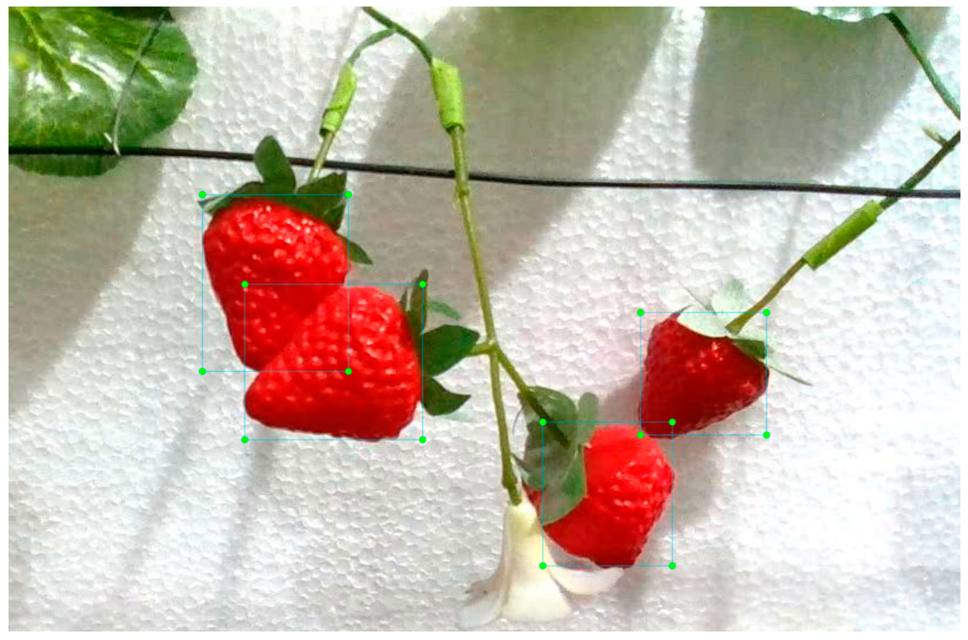 Agriculture 14 00624 g004