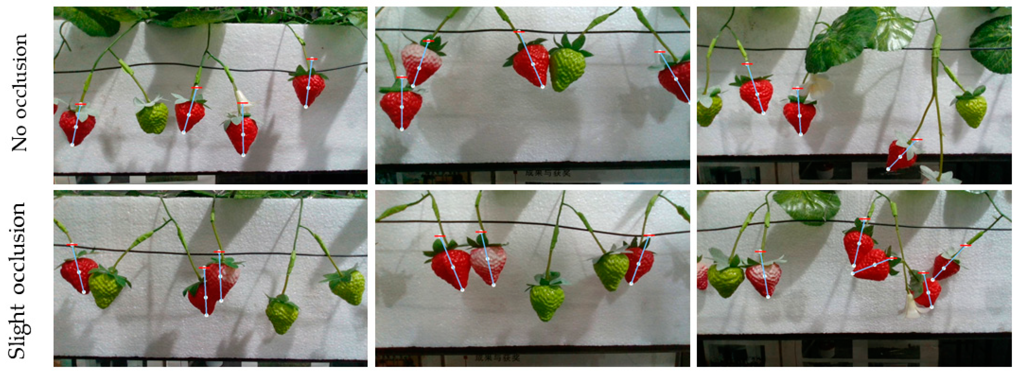 Agriculture 14 00624 g012