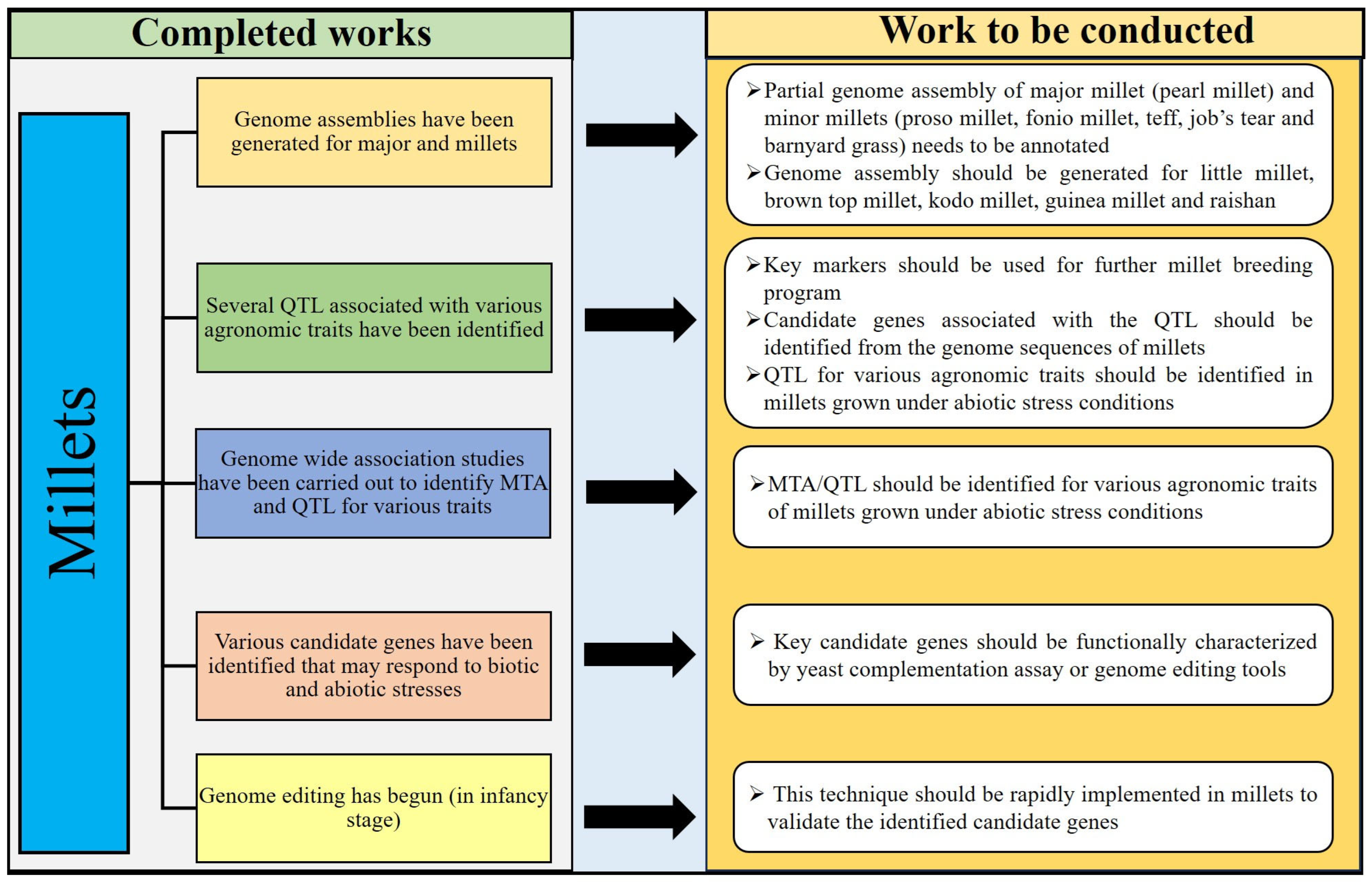 Agriculture 14 00670 g003