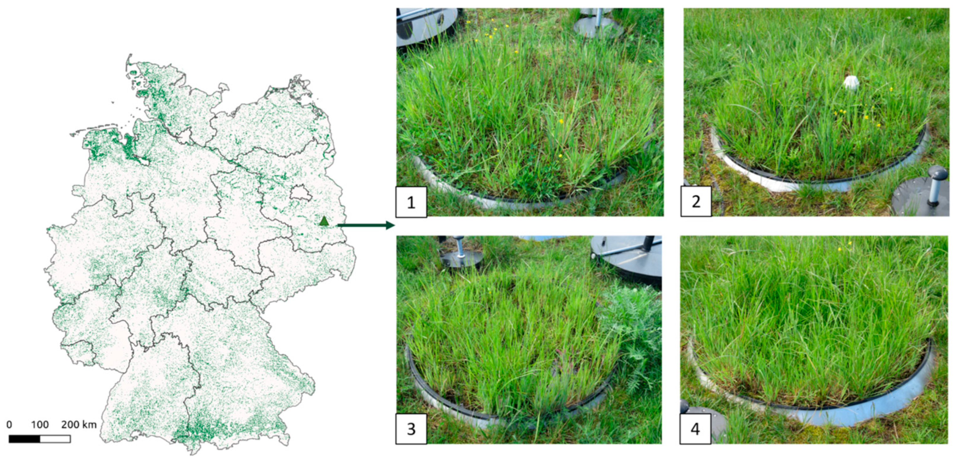 Agriculture 14 00679 g001