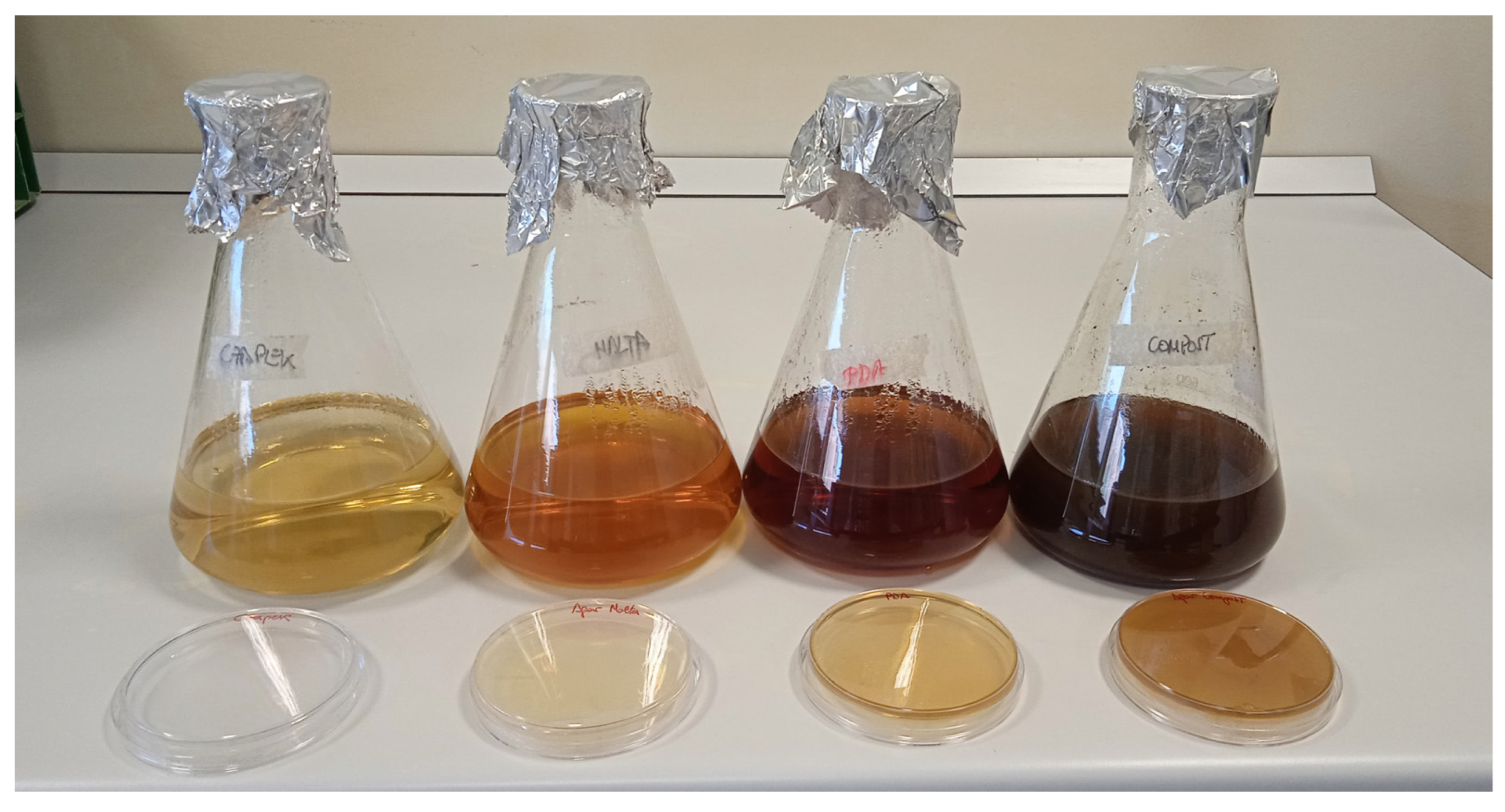 Agriculture 14 00681 g003