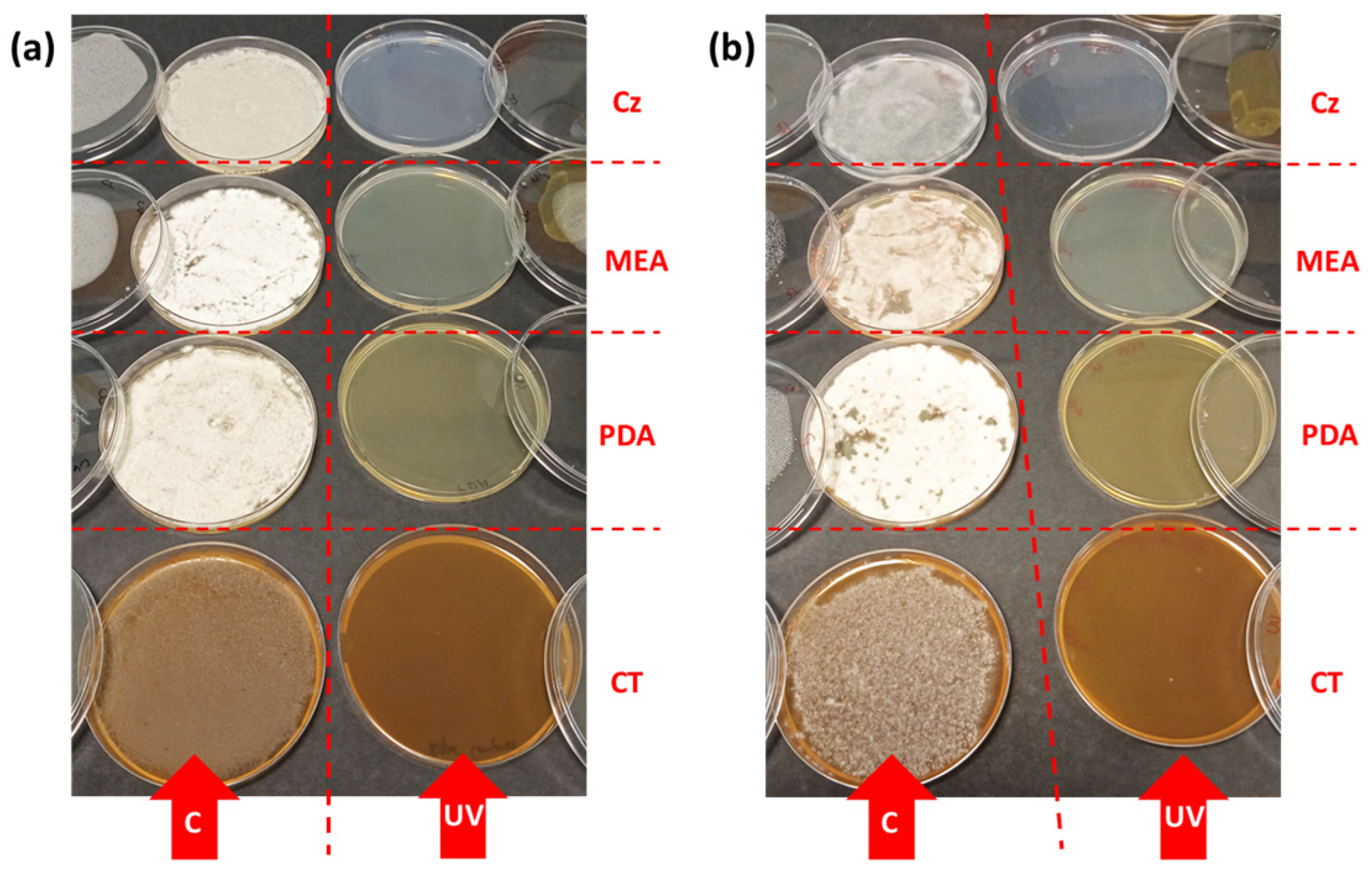 Agriculture 14 00681 g005