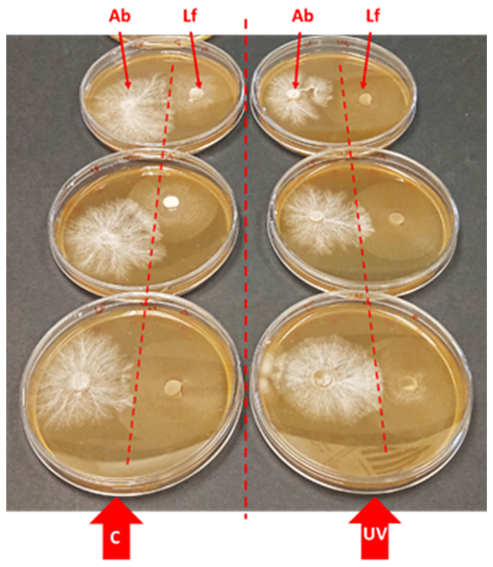 Agriculture 14 00681 g007