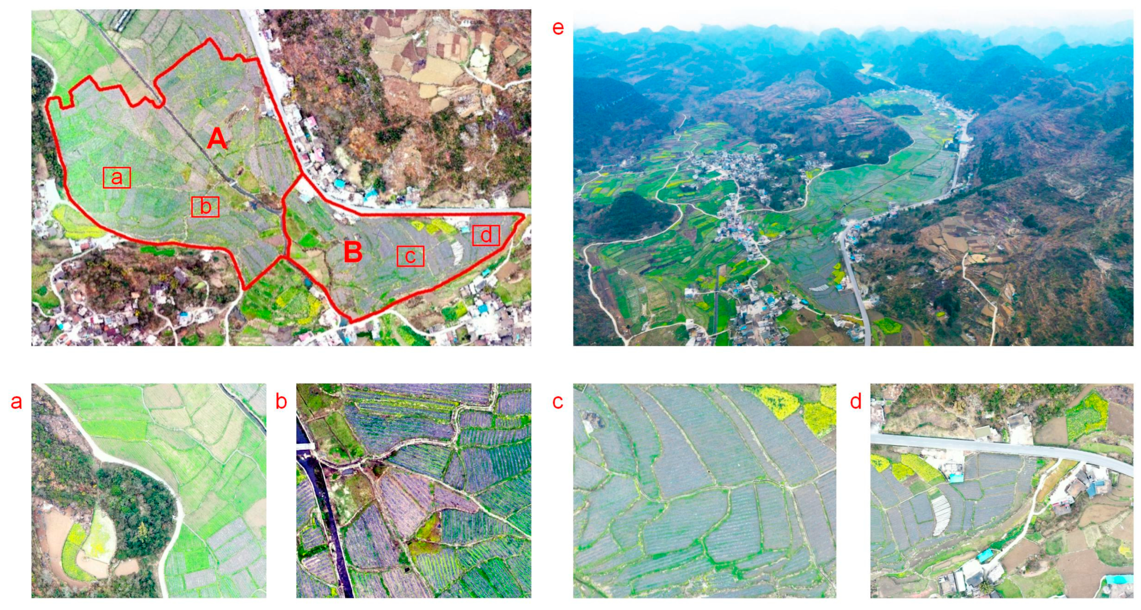 Agriculture 14 00736 g002