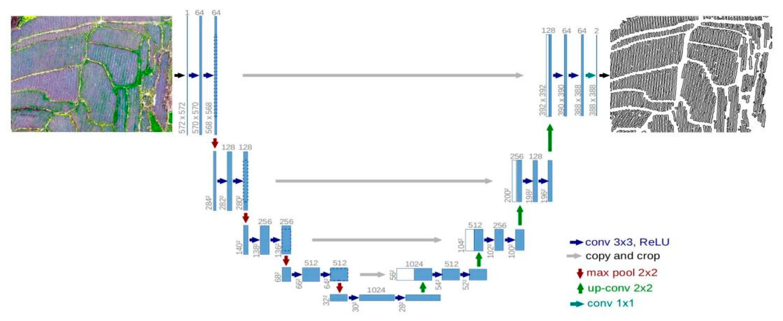 Agriculture 14 00736 g004