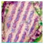 Agriculture 14 00736 i012