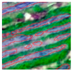 Agriculture 14 00736 i015