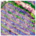 Agriculture 14 00736 i017