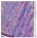 Agriculture 14 00736 i018