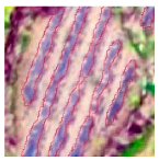 Agriculture 14 00736 i020