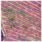 Agriculture 14 00736 i023