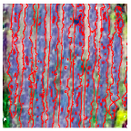 Agriculture 14 00736 i025