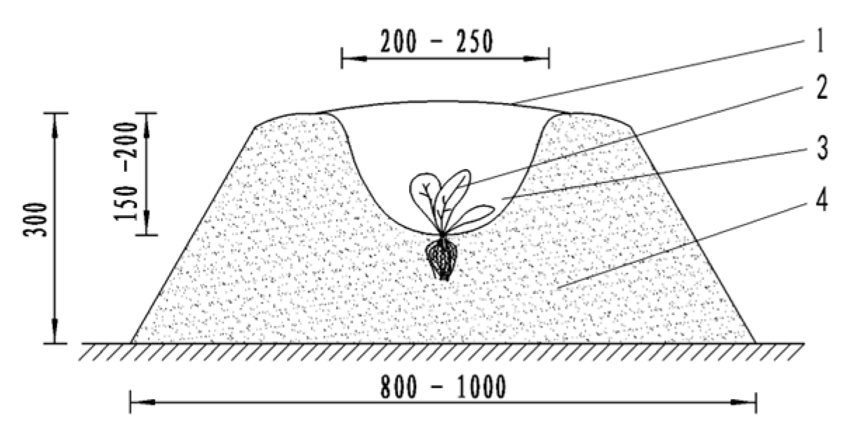 Agriculture 14 00801 g001