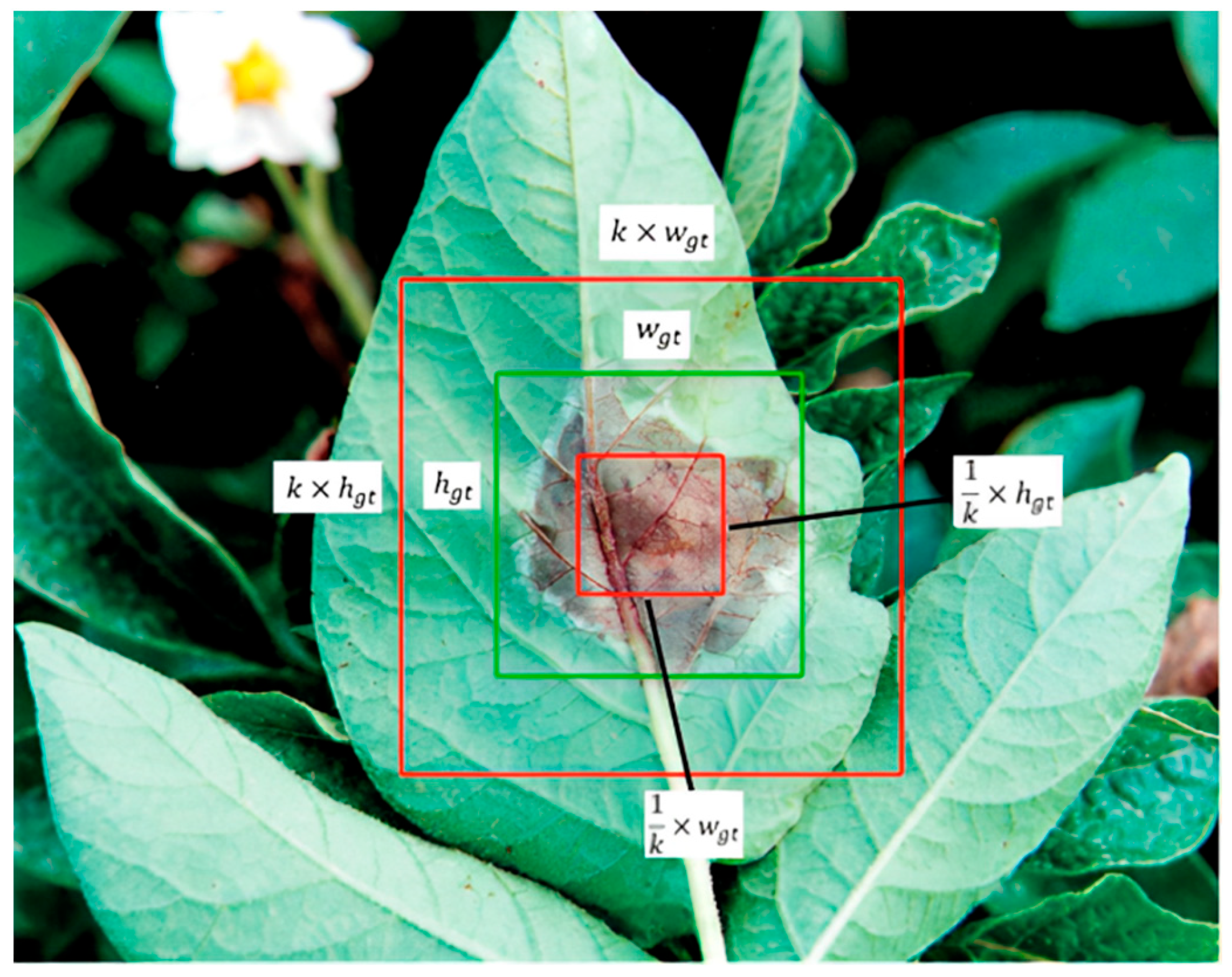 Agriculture 14 00820 g008