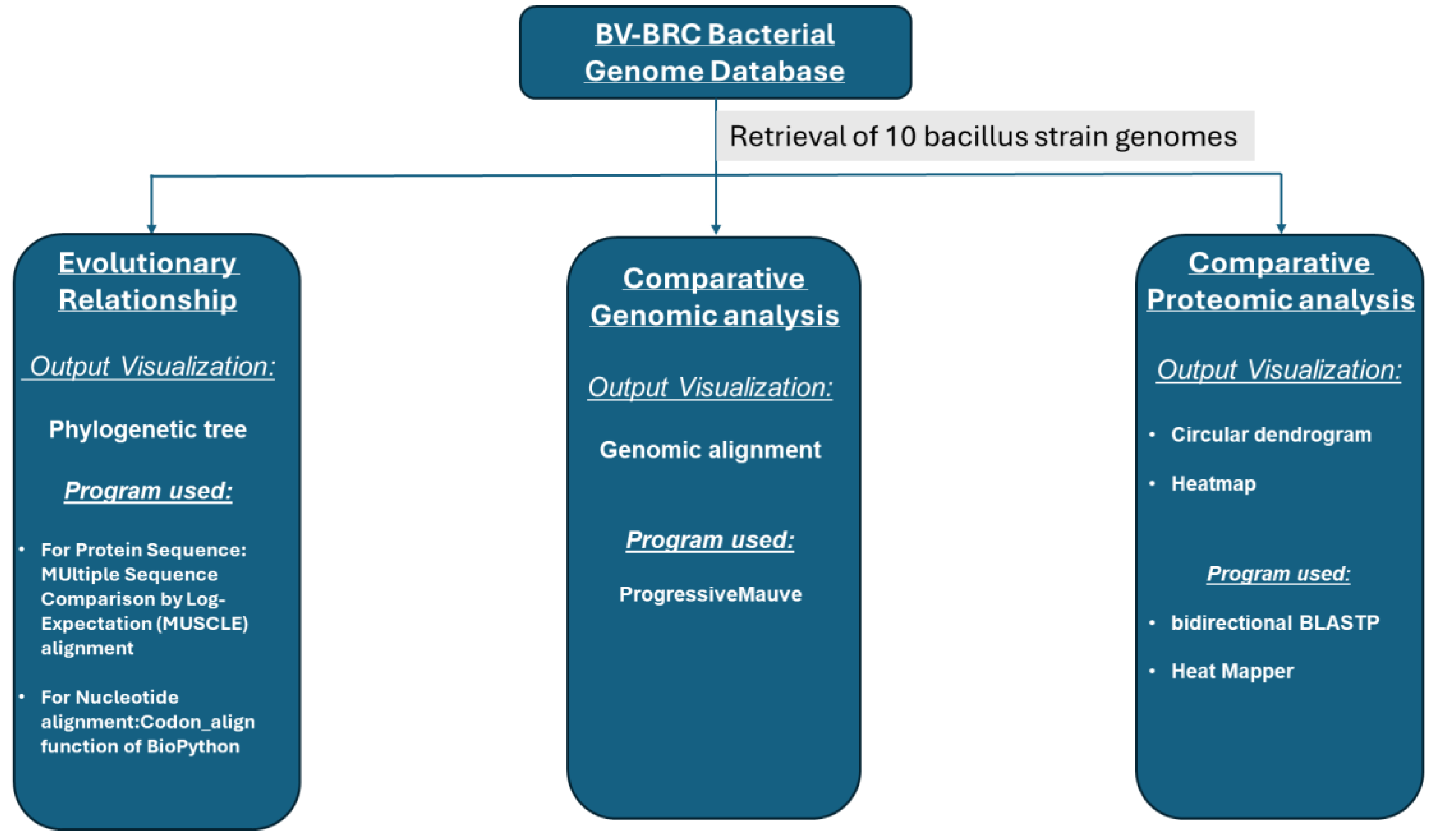 Agriculture 14 00838 g001