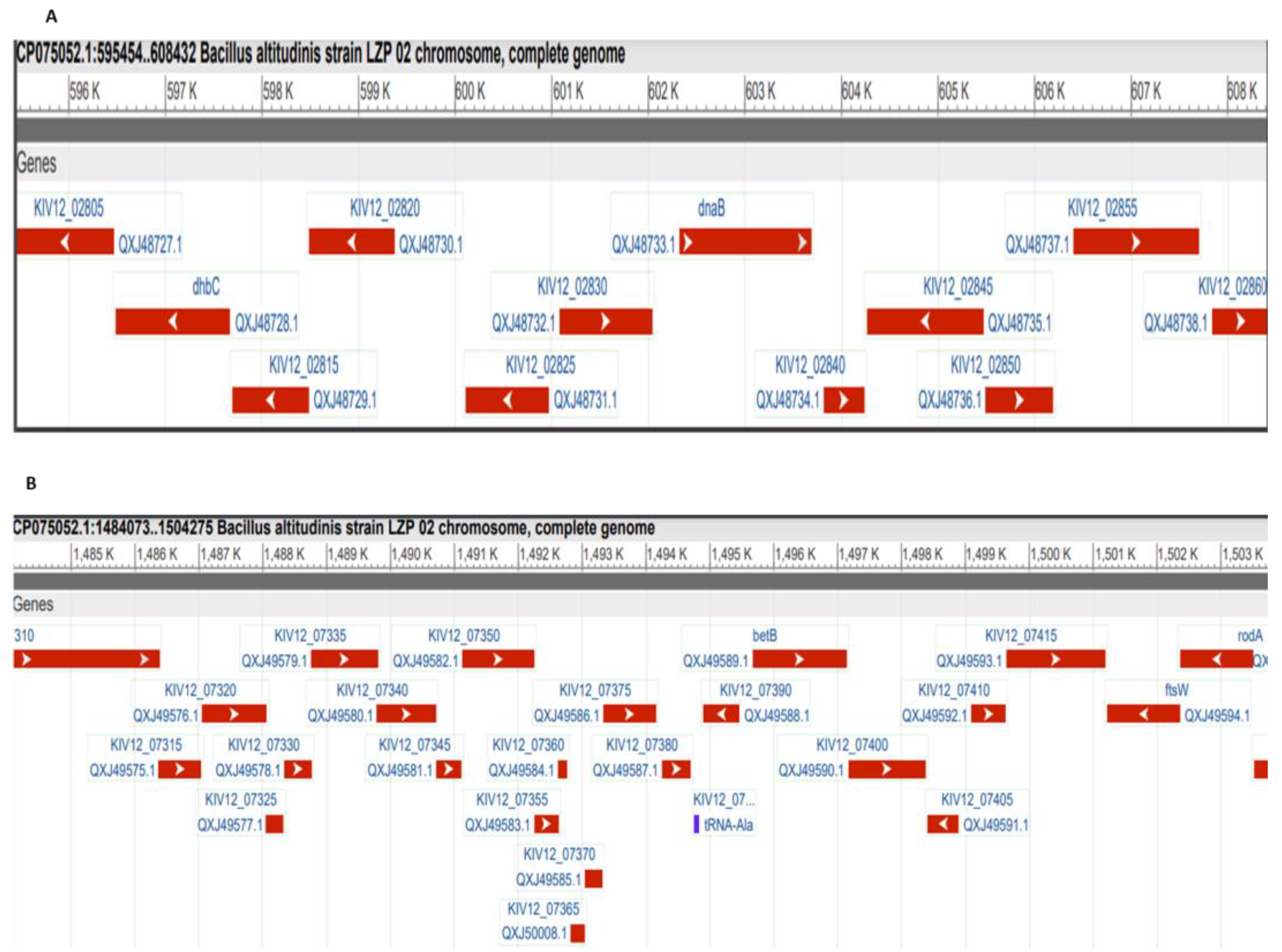 Agriculture 14 00838 g004