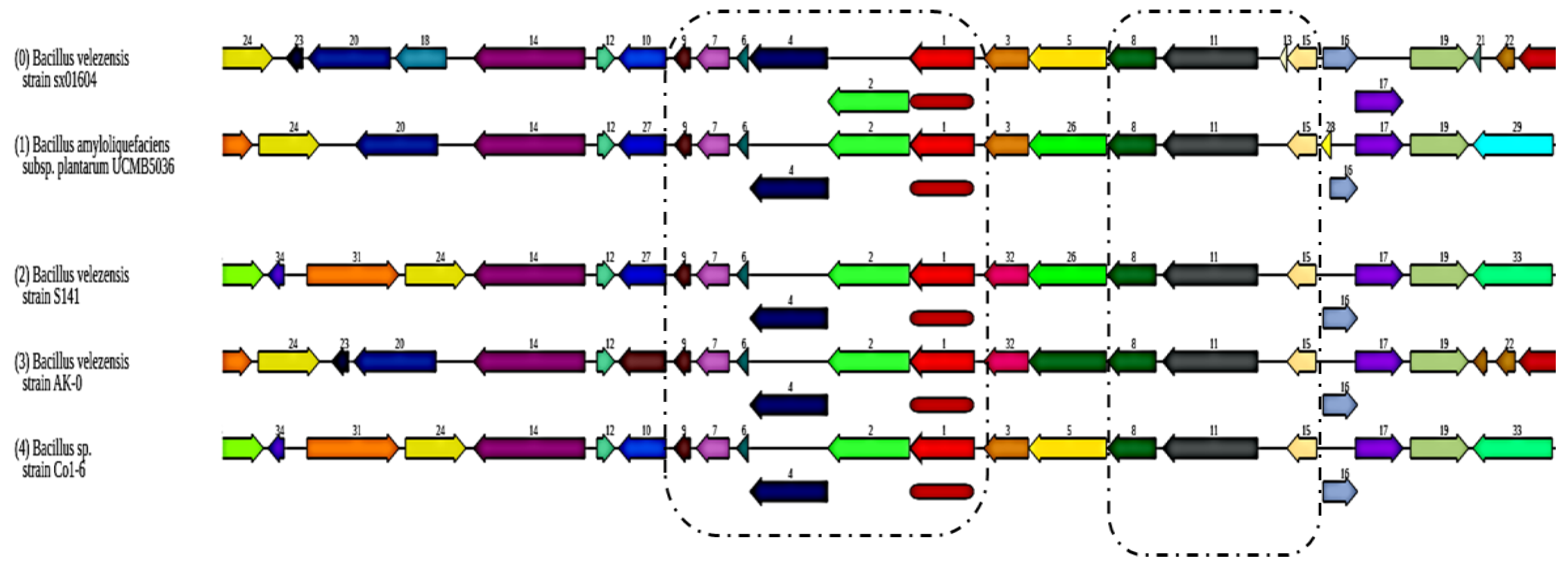 Agriculture 14 00838 g005