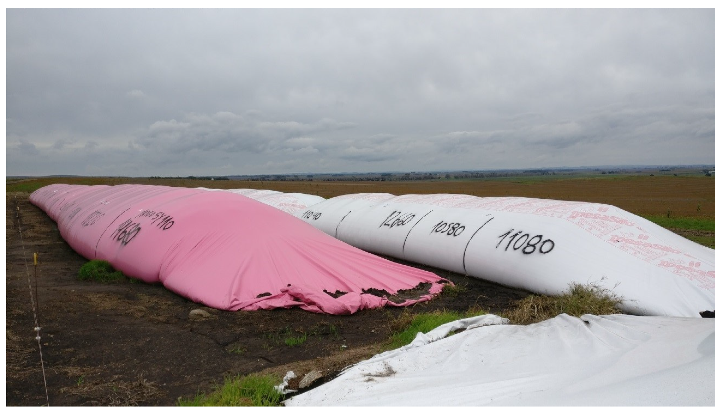 Agriculture 14 00841 g001