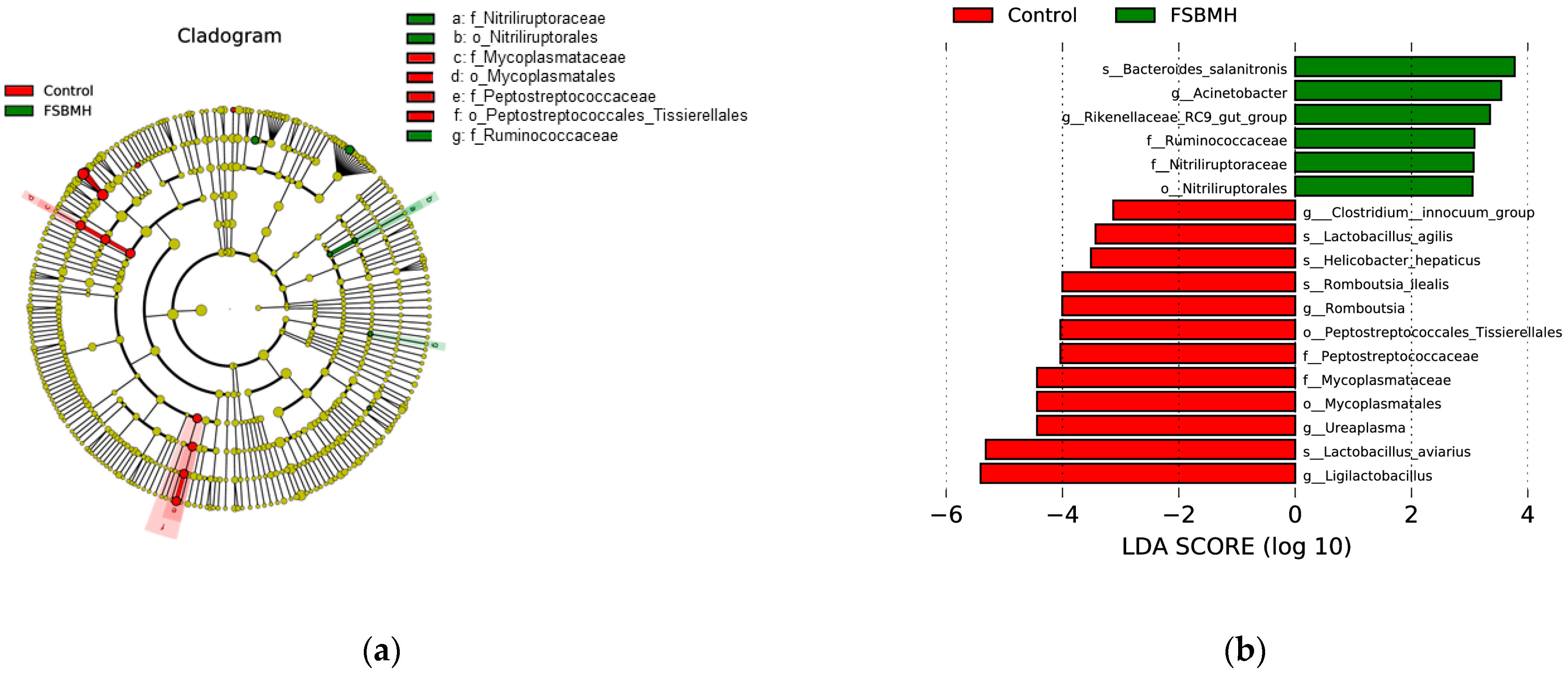 Agriculture 14 00844 g008