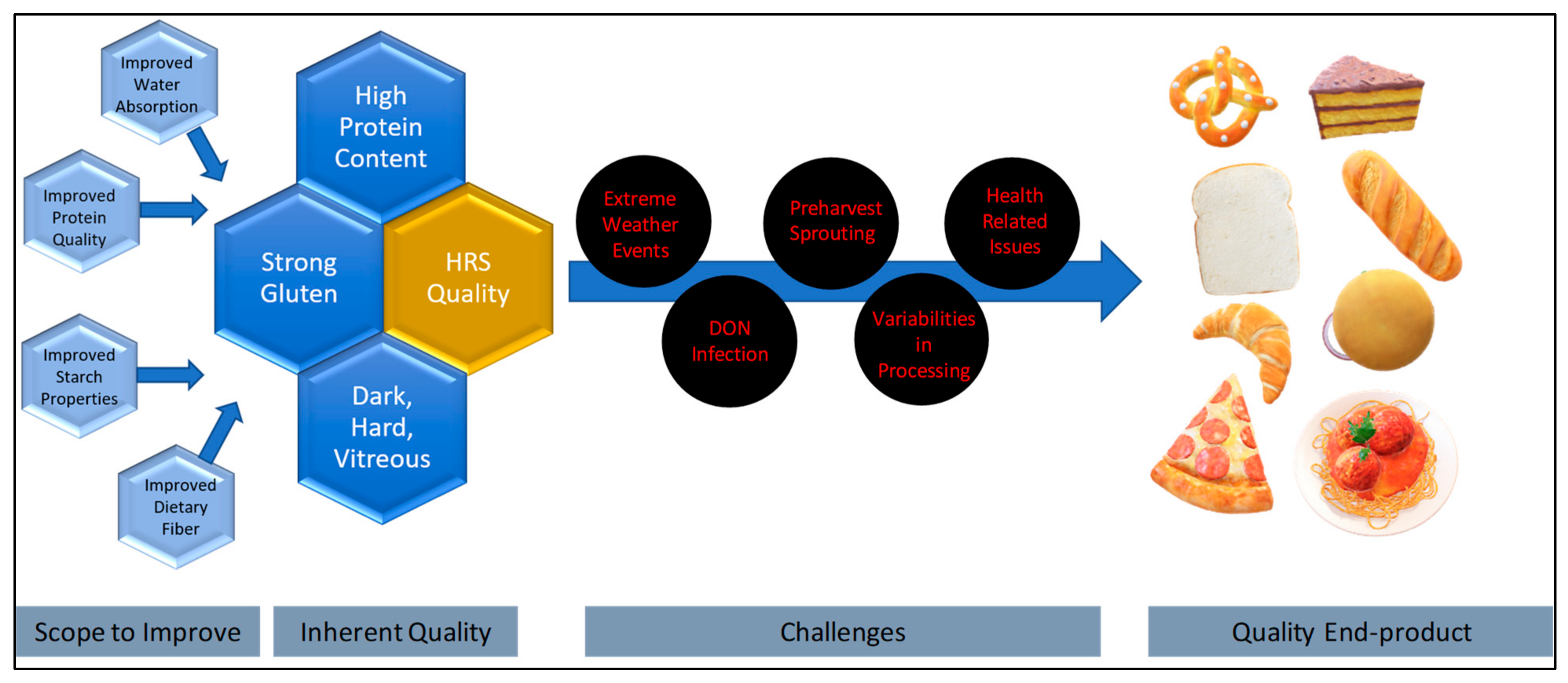 Agriculture 14 00853 g005