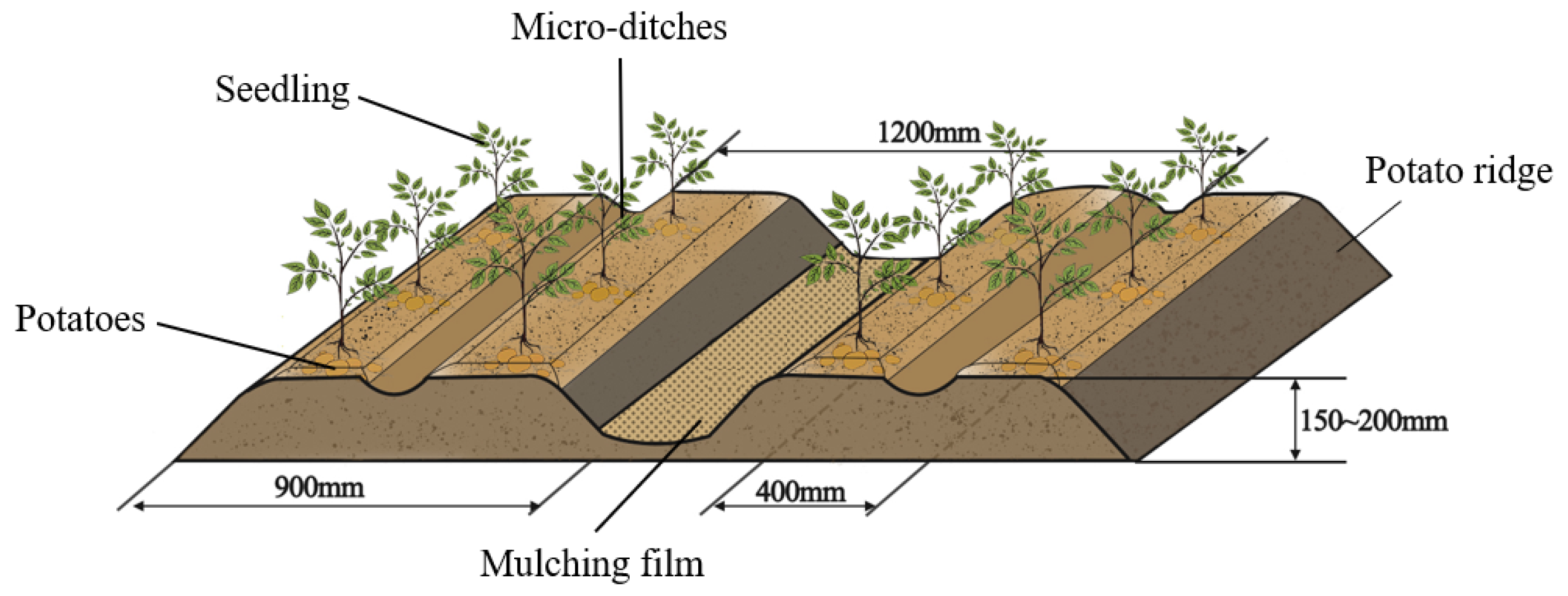 Agriculture 14 00860 g001