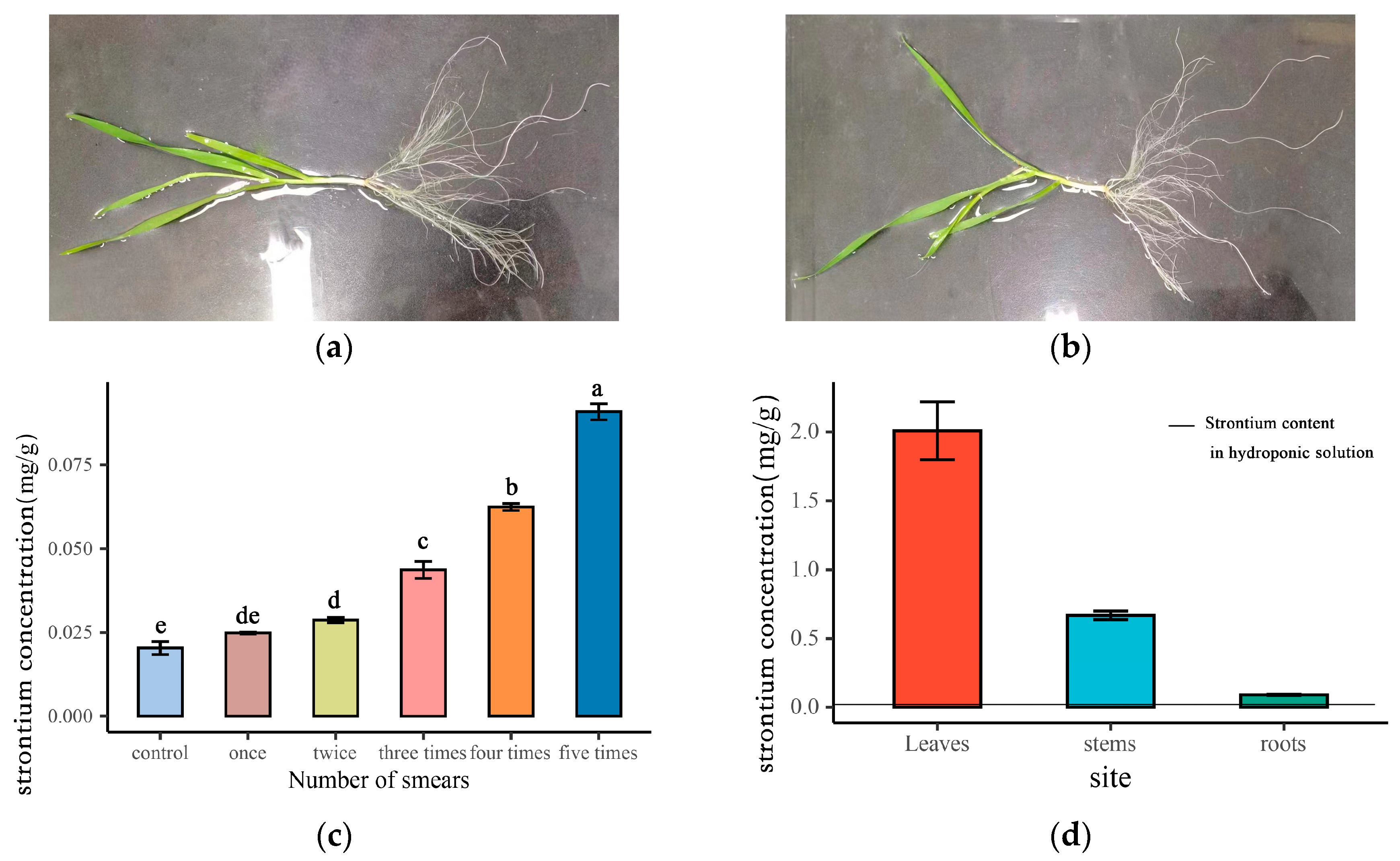 Agriculture 14 00877 g001