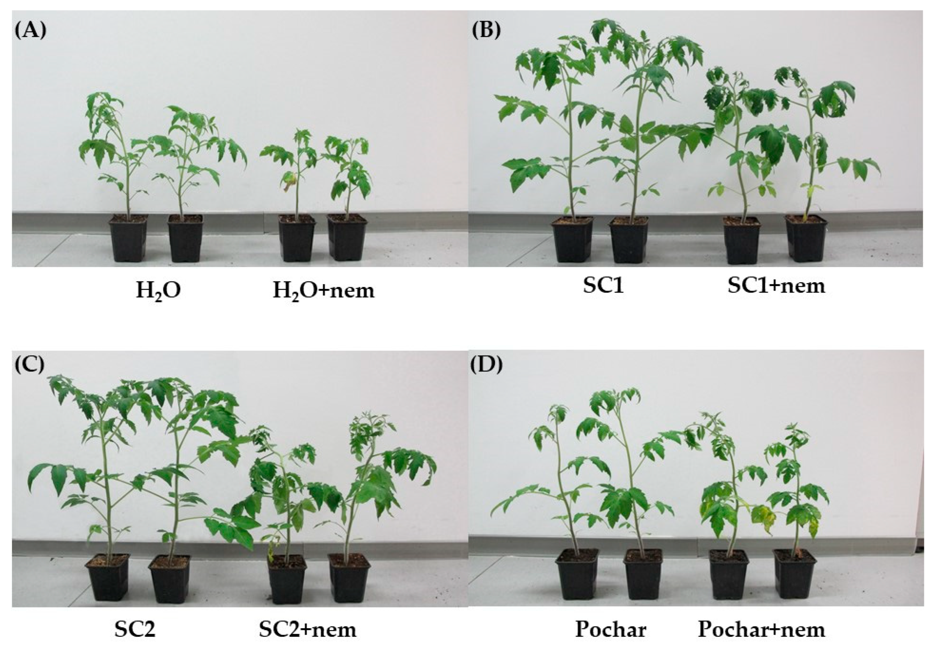Agriculture 14 00891 g003