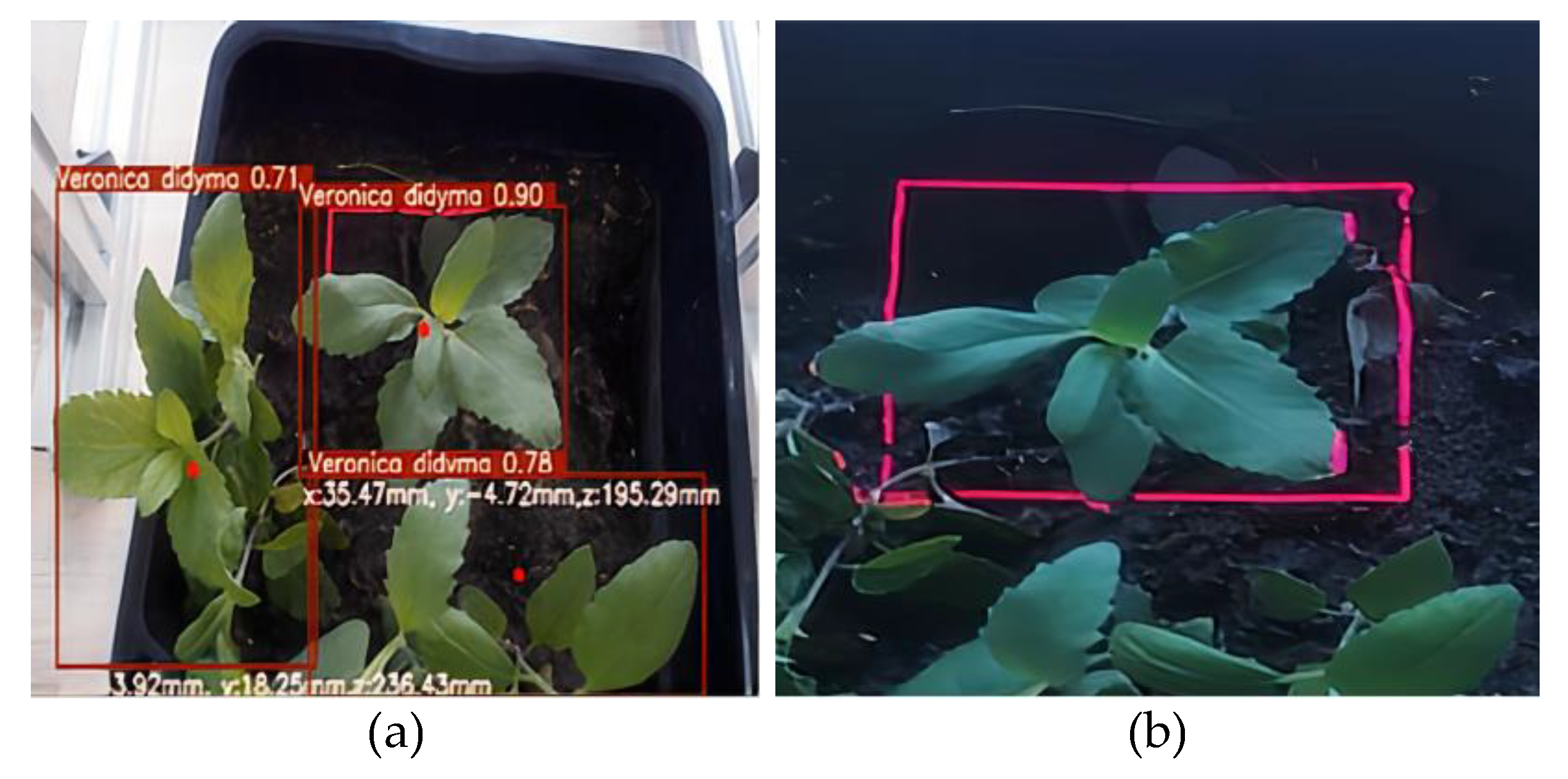 Agriculture 14 00910 g008