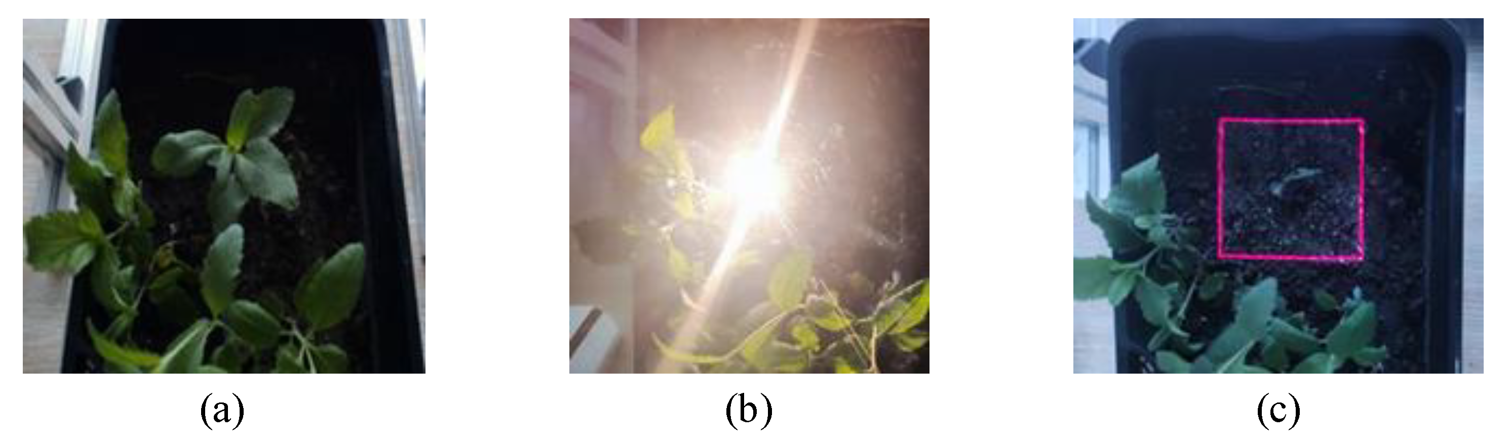 Agriculture 14 00910 g009