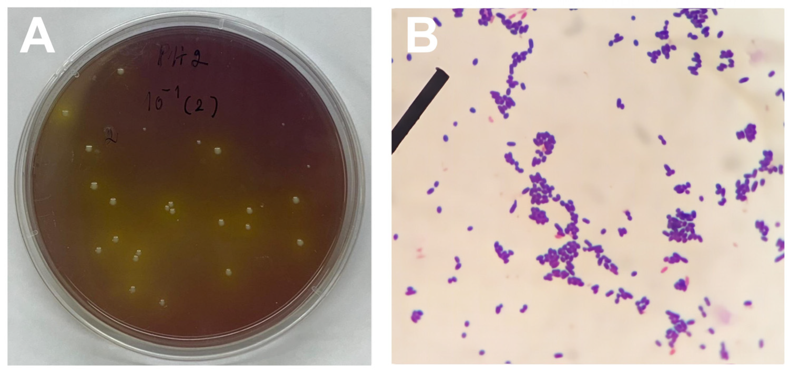 Agriculture 14 00924 g002