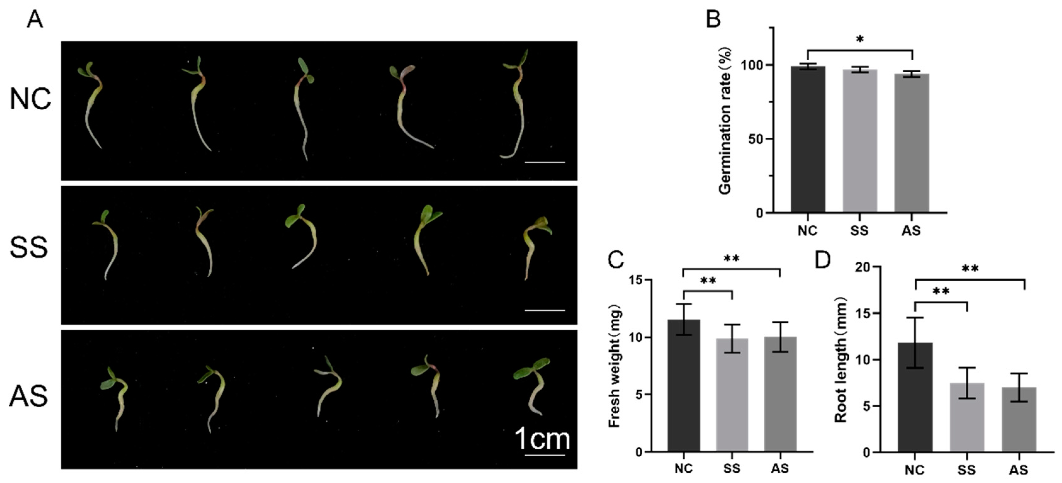 Agriculture 14 00930 g001