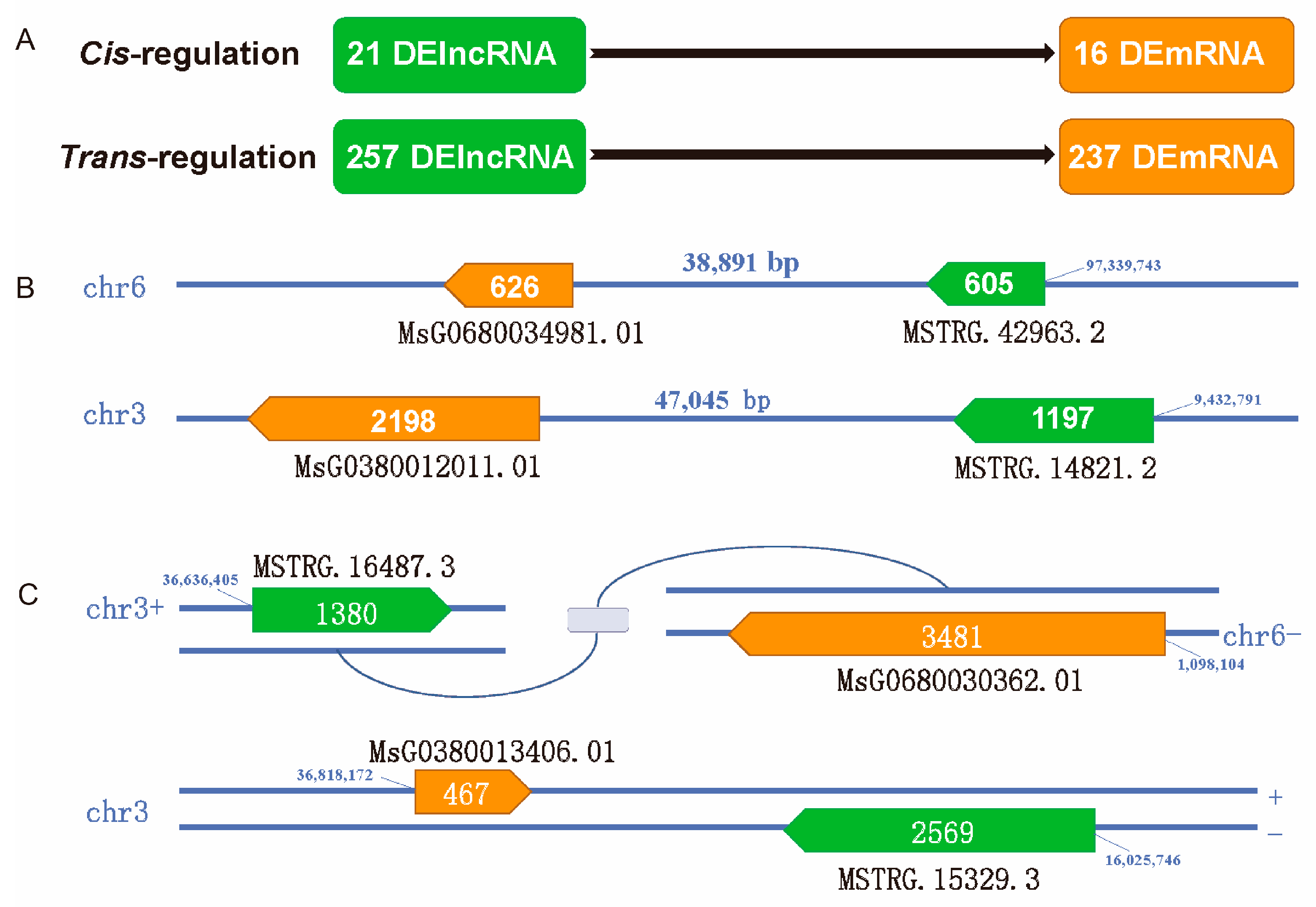 Agriculture 14 00930 g005