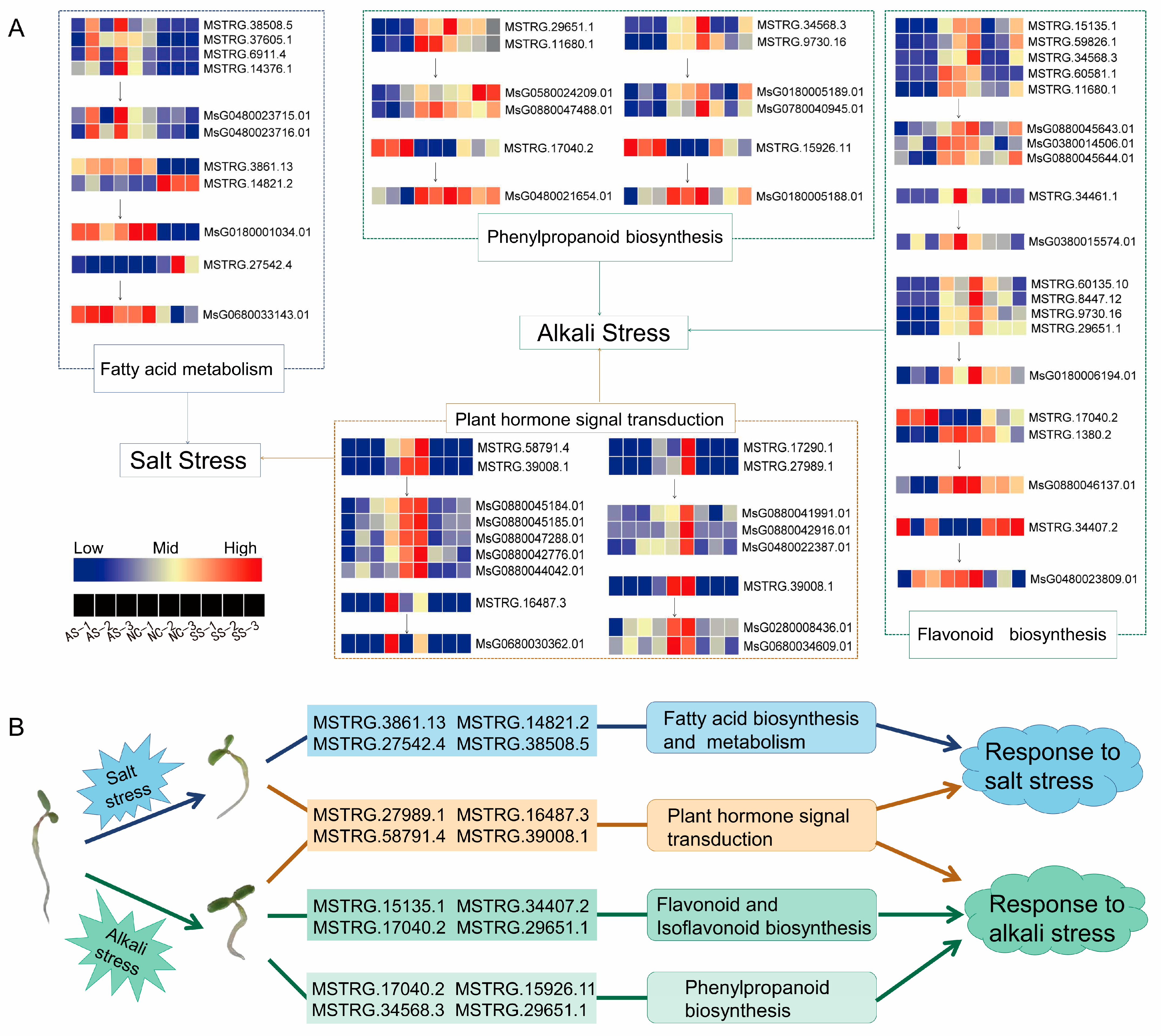Agriculture 14 00930 g007
