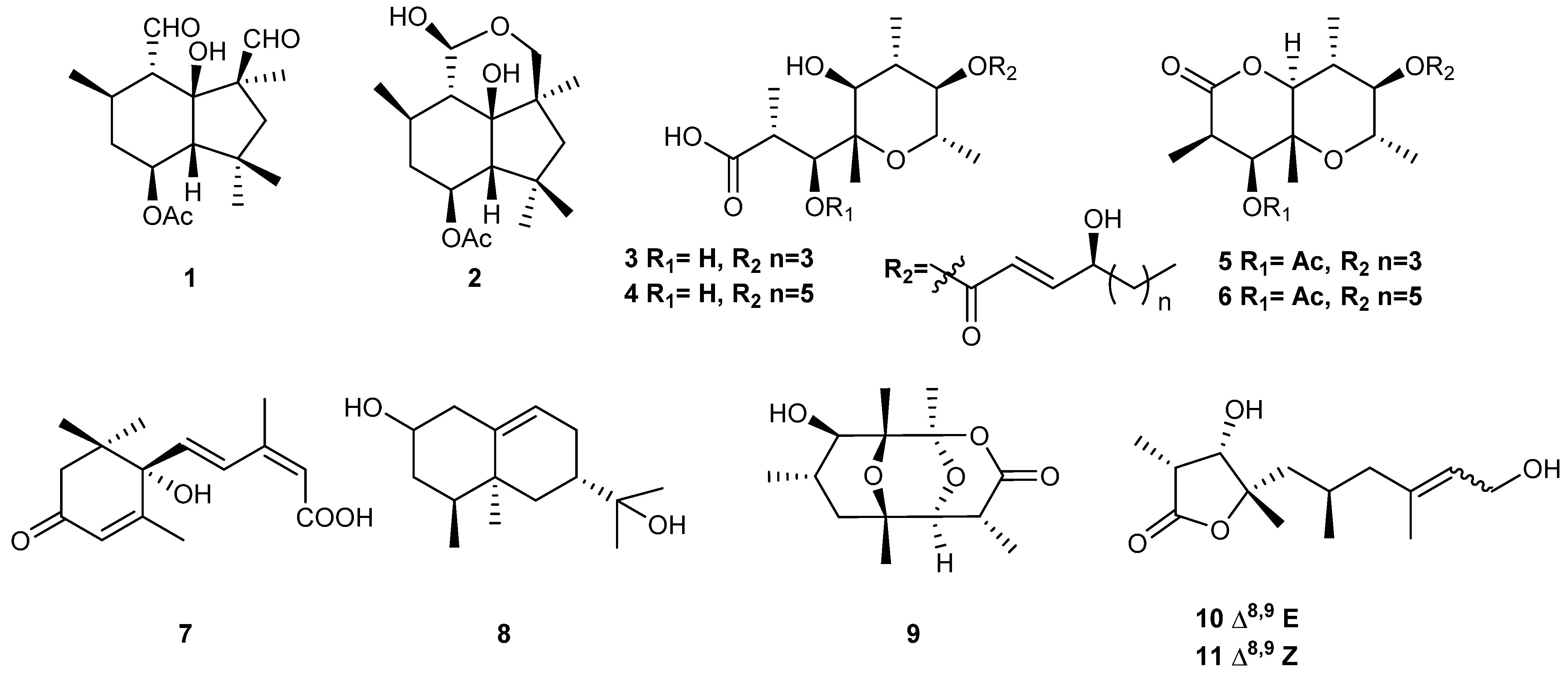 Agriculture 14 00932 g001